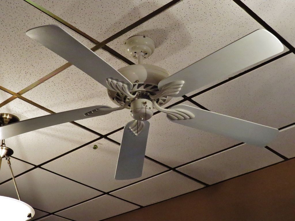 Nadair Ceiling Fan